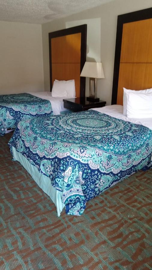 Apm Inn & Suites - Jacksonville Dış mekan fotoğraf